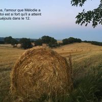 Aidez moi à faire mon Love Note svp il me manque pleins de départements - 1