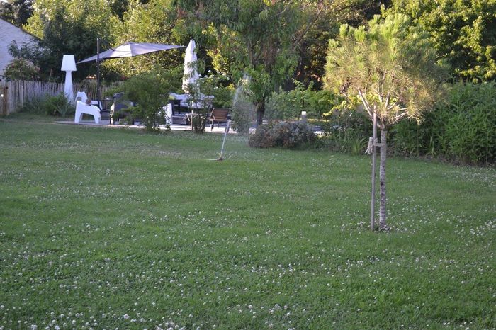 espace vin d'honneur