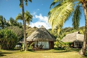 Voyage de noces réservé 💕😉✈️🏝️ - 2