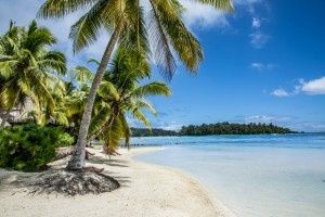 Voyage de noces réservé 💕😉✈️🏝️ - 3