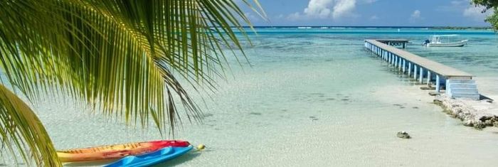 Voyage de noces réservé 💕😉✈️🏝️ - 1