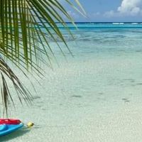 Voyage de noces réservé 💕😉✈️🏝️ - 1