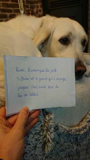 Loves notes 2