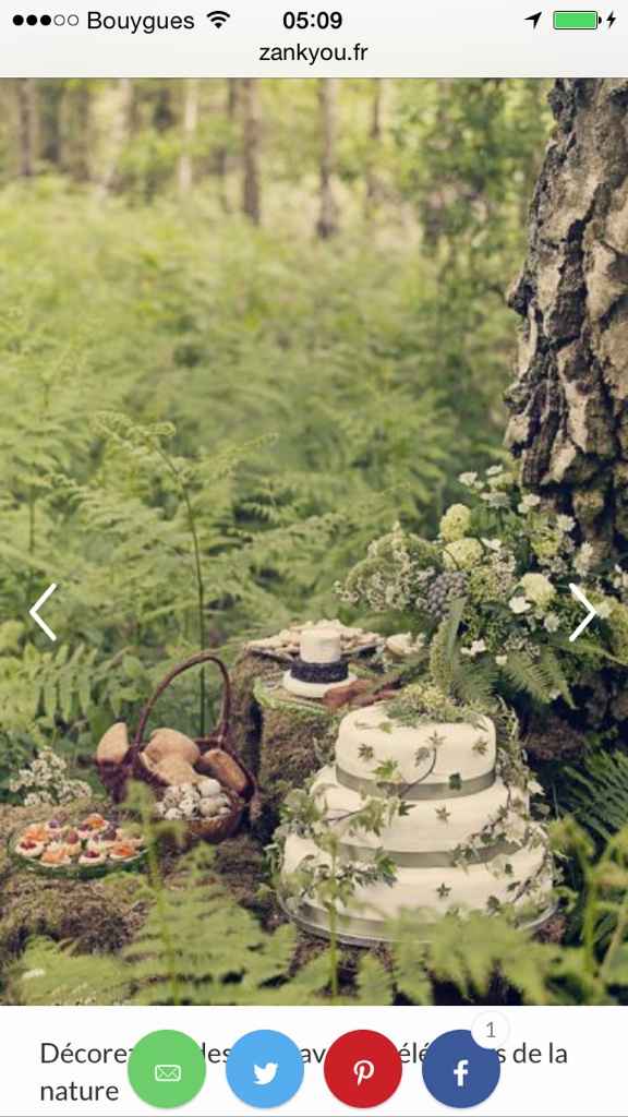 Mon mariage dans les bois - 11