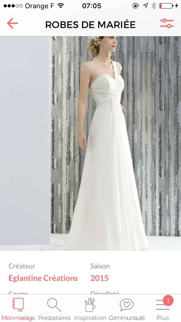 Robe eglantine - 1
