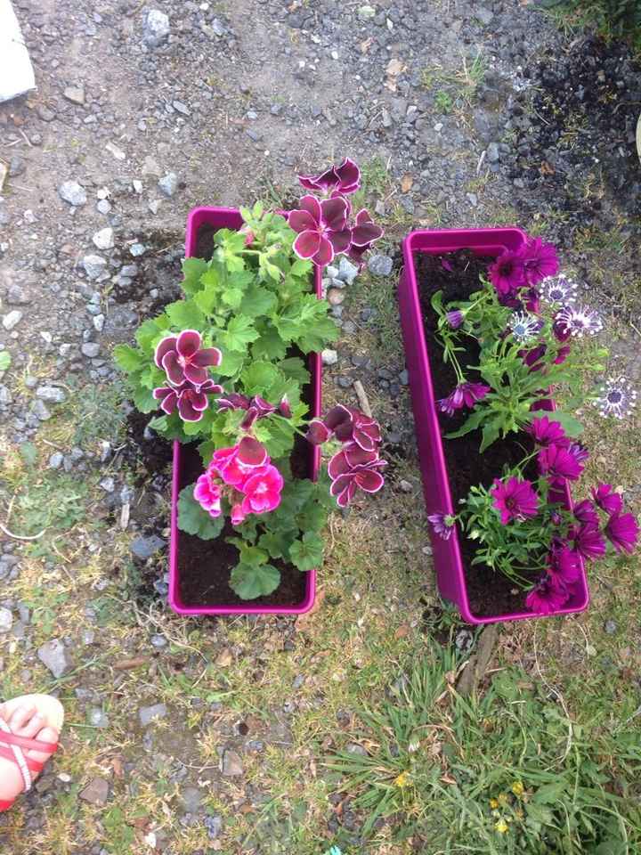 Mon bouquet de fleur - 1