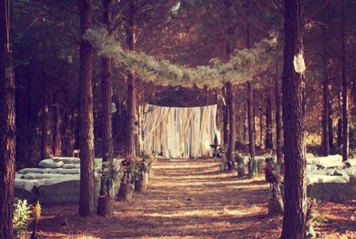 Mon mariage dans les bois - 7
