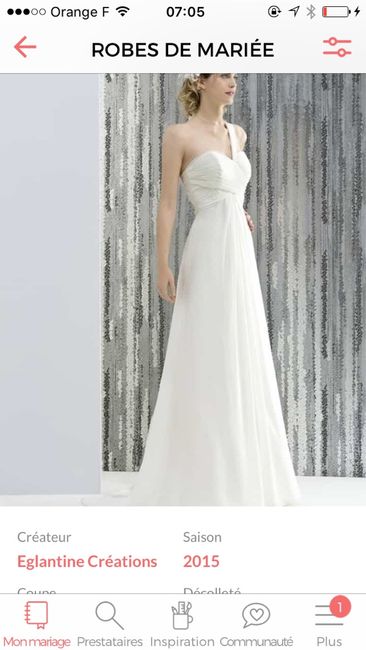 Robe eglantine - 1