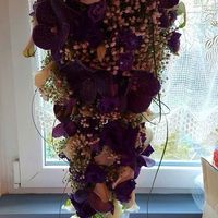 Mariage dans le Finistère en 2015 - 1