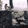 Bonnetain