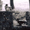 Bonnetain