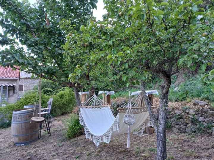 Quelques photos du 3 juillet 2021 - 11