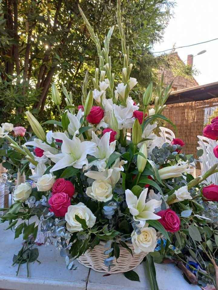 Quelques photos du 3 juillet 2021 - 17