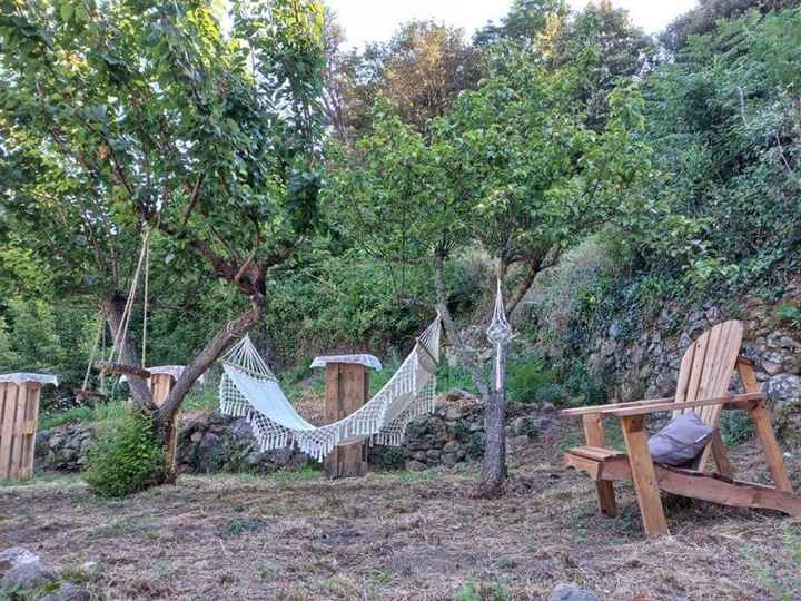 Quelques photos du 3 juillet 2021 - 22