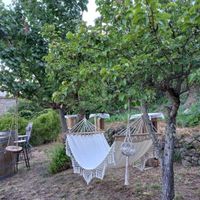 Quelques photos du 3 juillet 2021 - 11