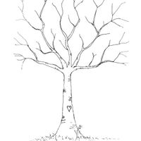 arbre a empreinte