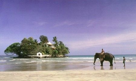 Voyage de Noces : changement de projet 