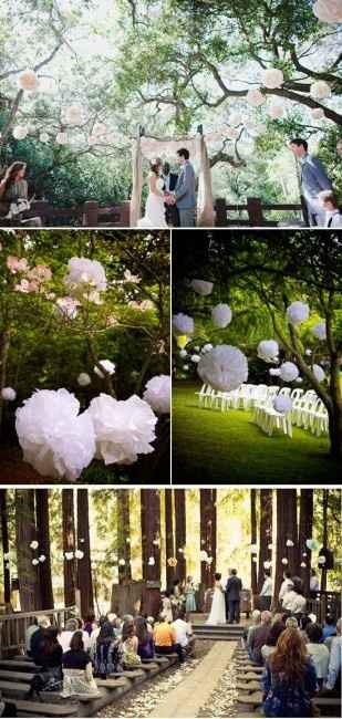 Pompons dans les arbres