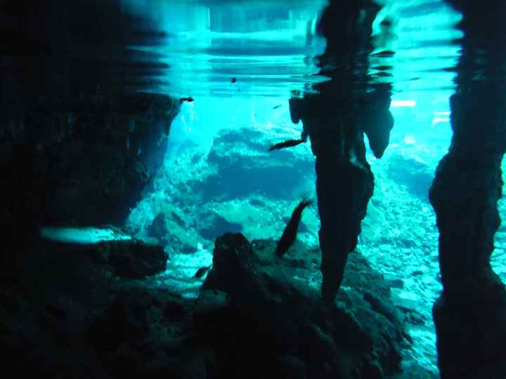 Sous l'eau