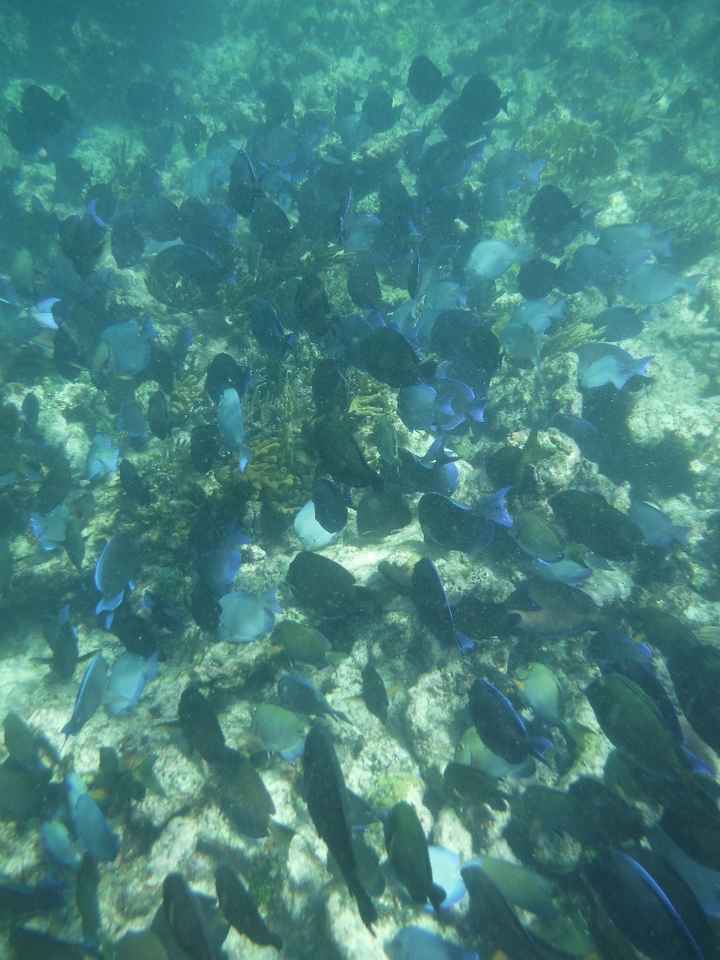 Snorkeling à siaan khan