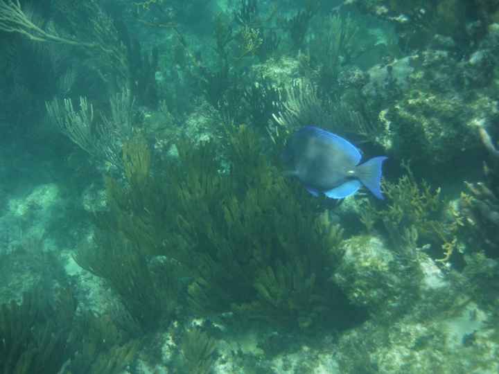 Snorkeling à siaan khan