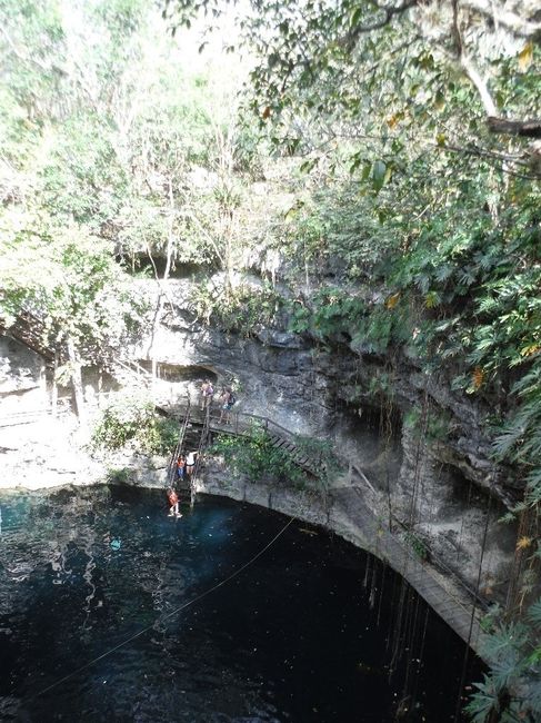 Cenote x canche