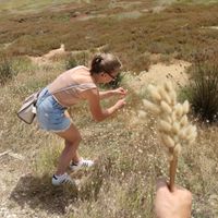 Centre table sans fleur - 1