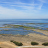Pezard