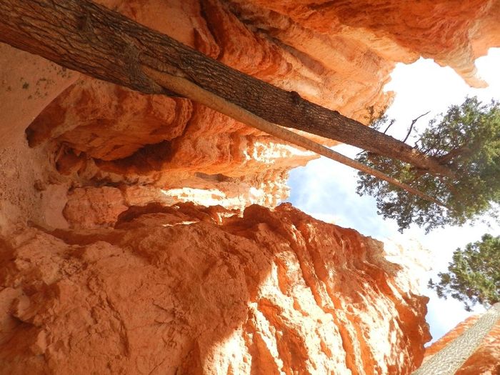 Bryce Canyon