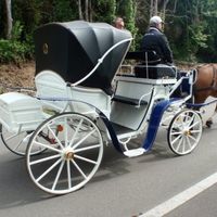 Organisation mariage - 2