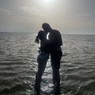 Marine