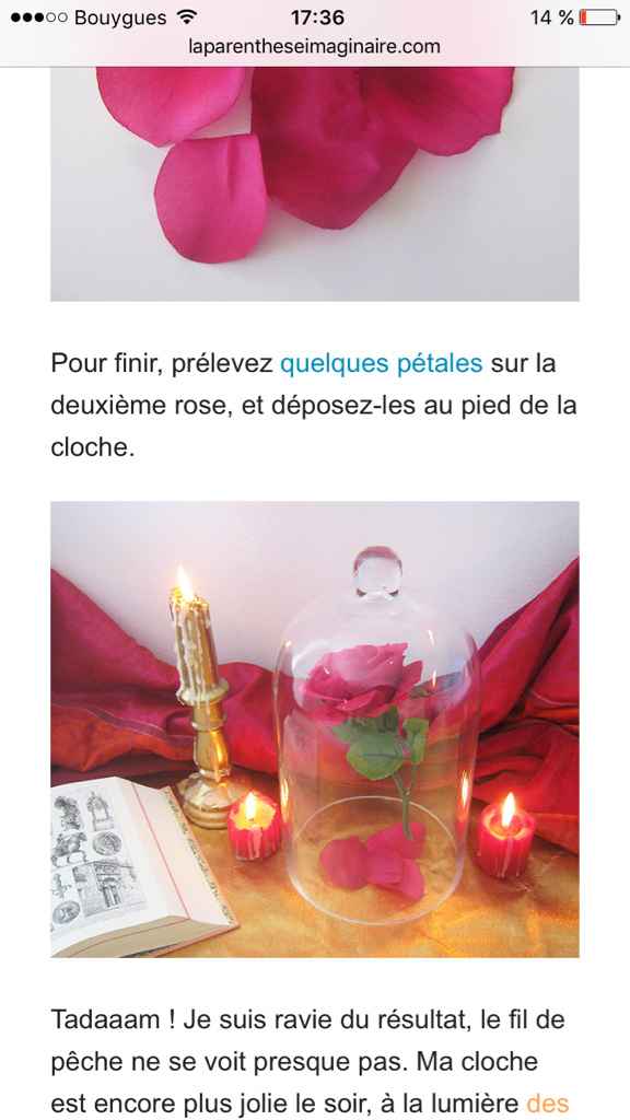 Centre de table - 1