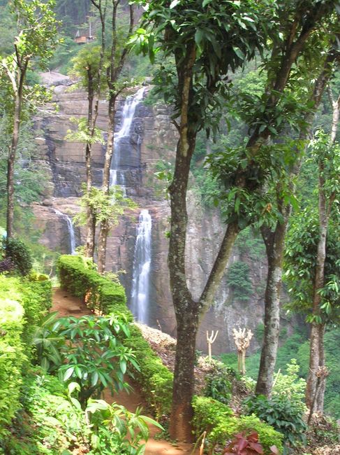 cascade au sri lanka