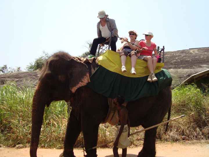 monter a dos d'éléphant