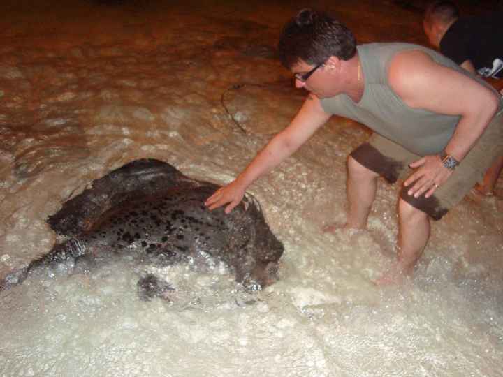 le touché d'une raie