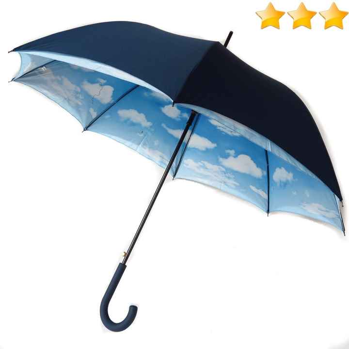 Parapluie de mariée - 1