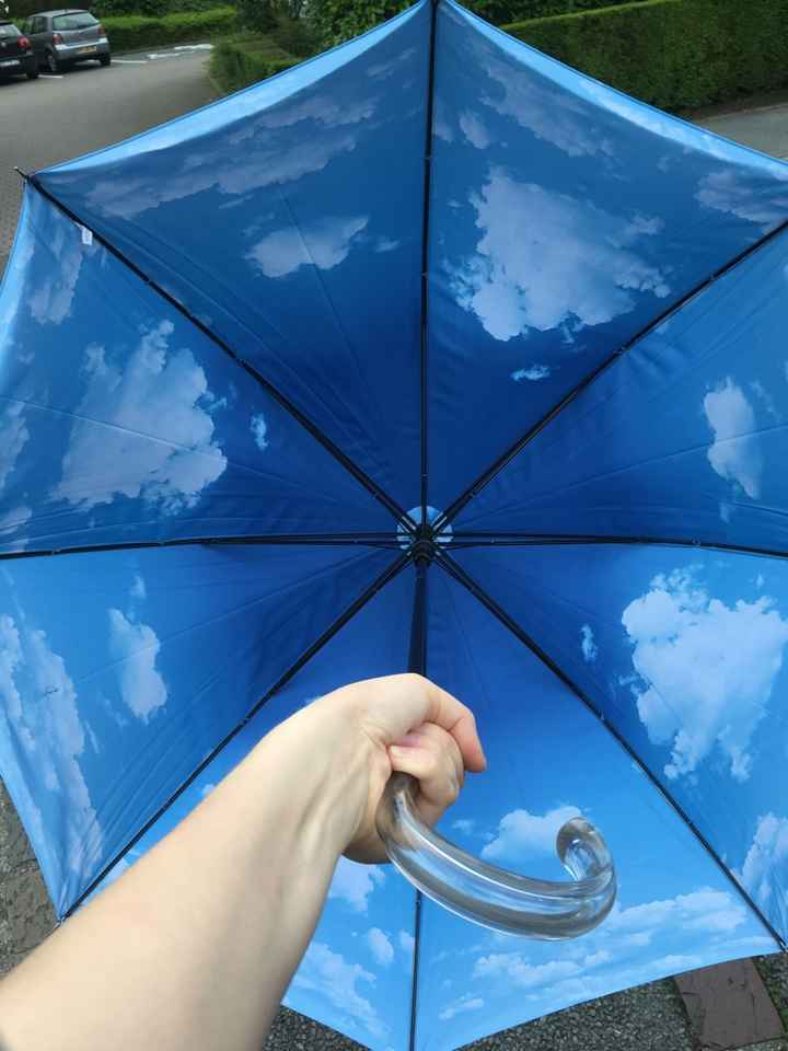 Parapluie de mariée - 2