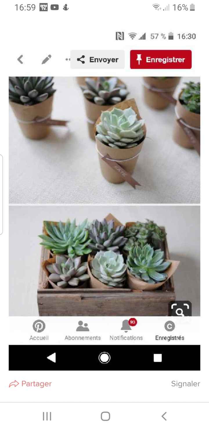 Cache pot pour succulentes - 1