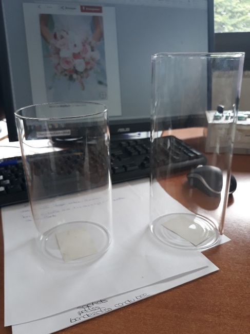 Vases cylindrique. - 2