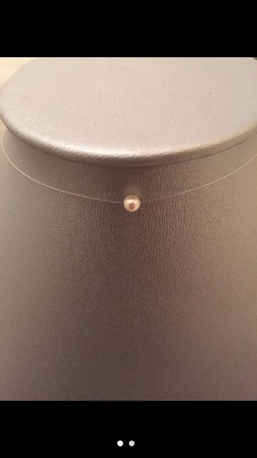Le Choix du collier!!! - 2