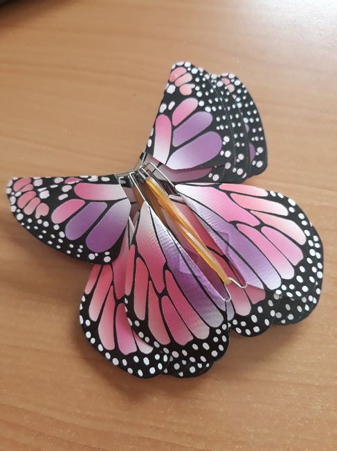 Petites avancées. - 3