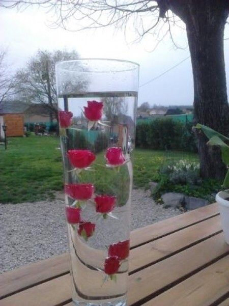 Roses