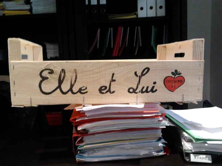 CAGETTE POUR DECO VH