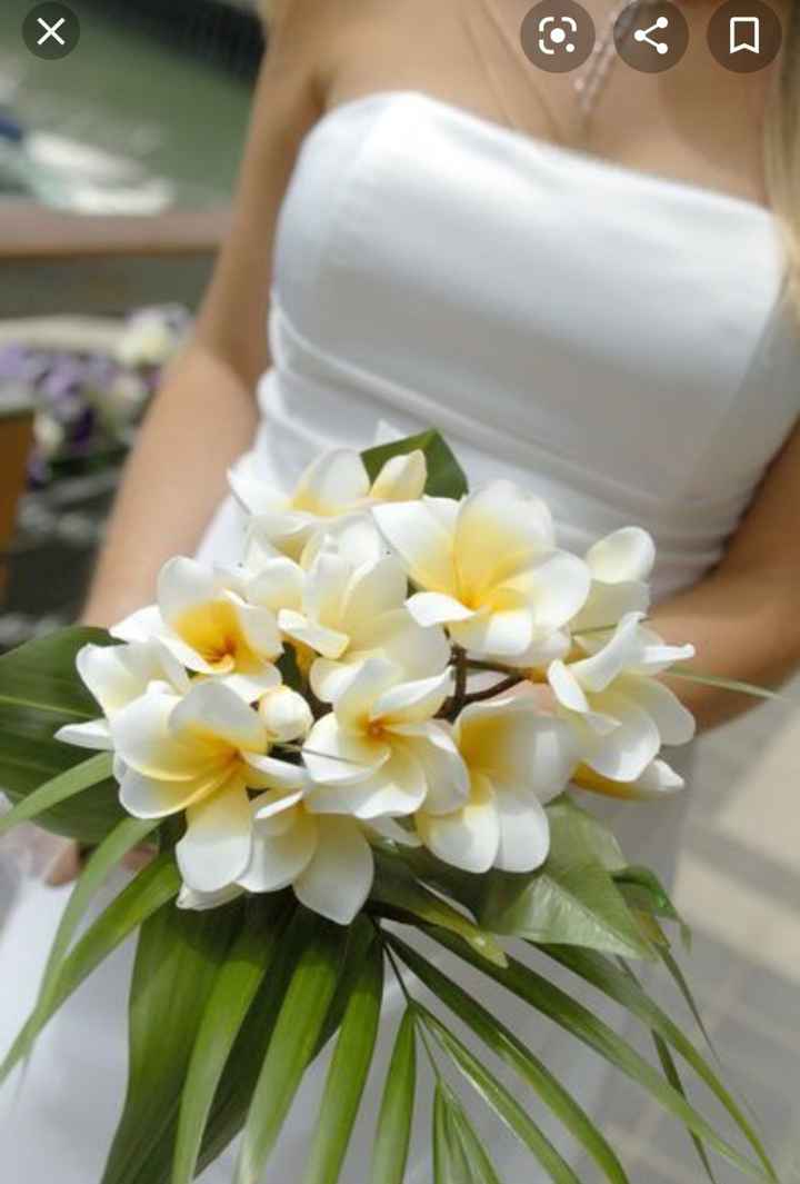 Fleur de frangipanier plumeria - 1