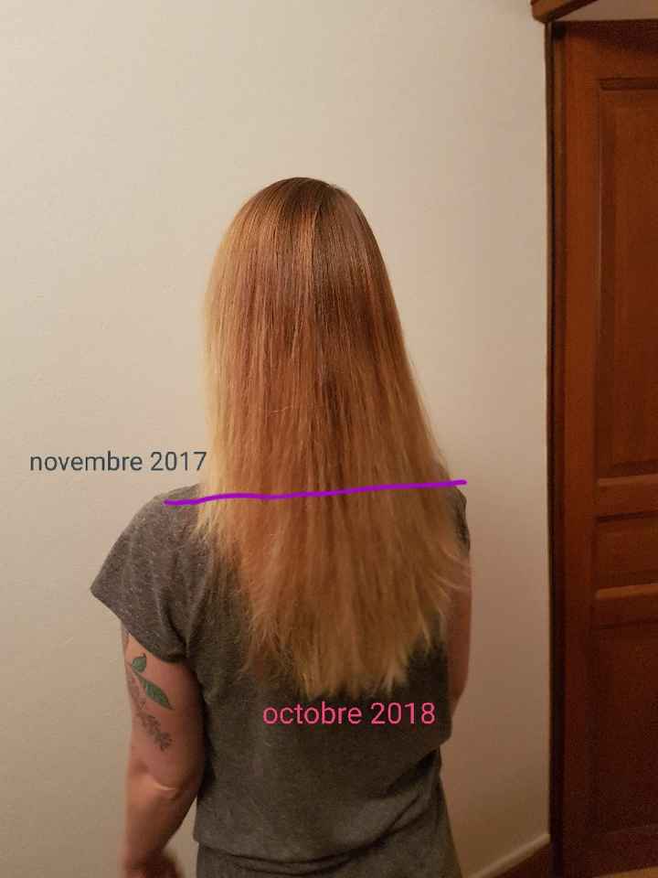 évolution cheveux - 1