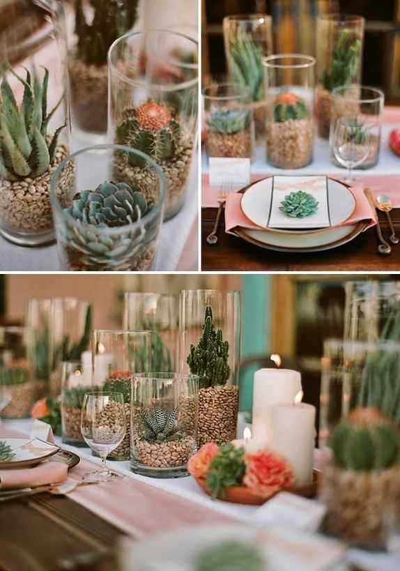 Inspirations cactus ! - 2