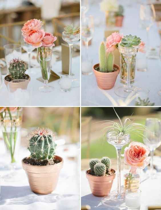 Inspirations cactus ! - 3
