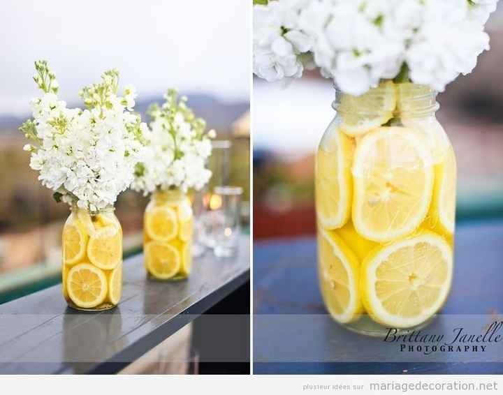 Inspiration citrons - 12
