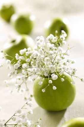 Inspiration pommes - 5