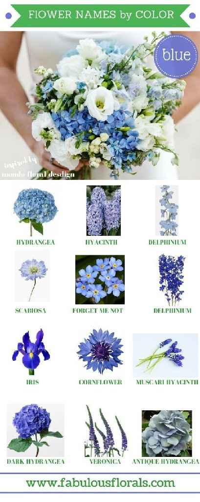 Fleurs bleues une galère! - 2